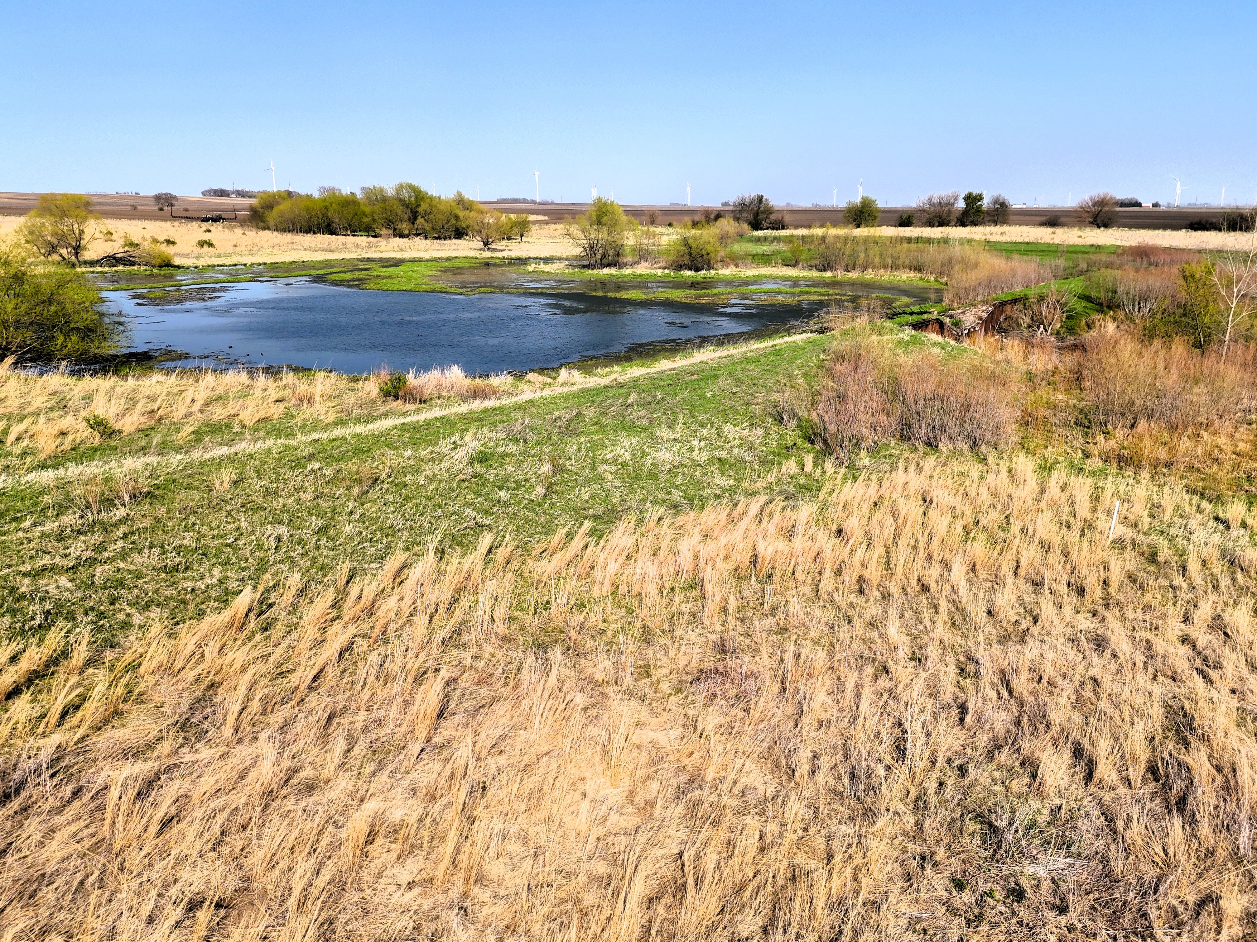 Listing Photo: Ground 1